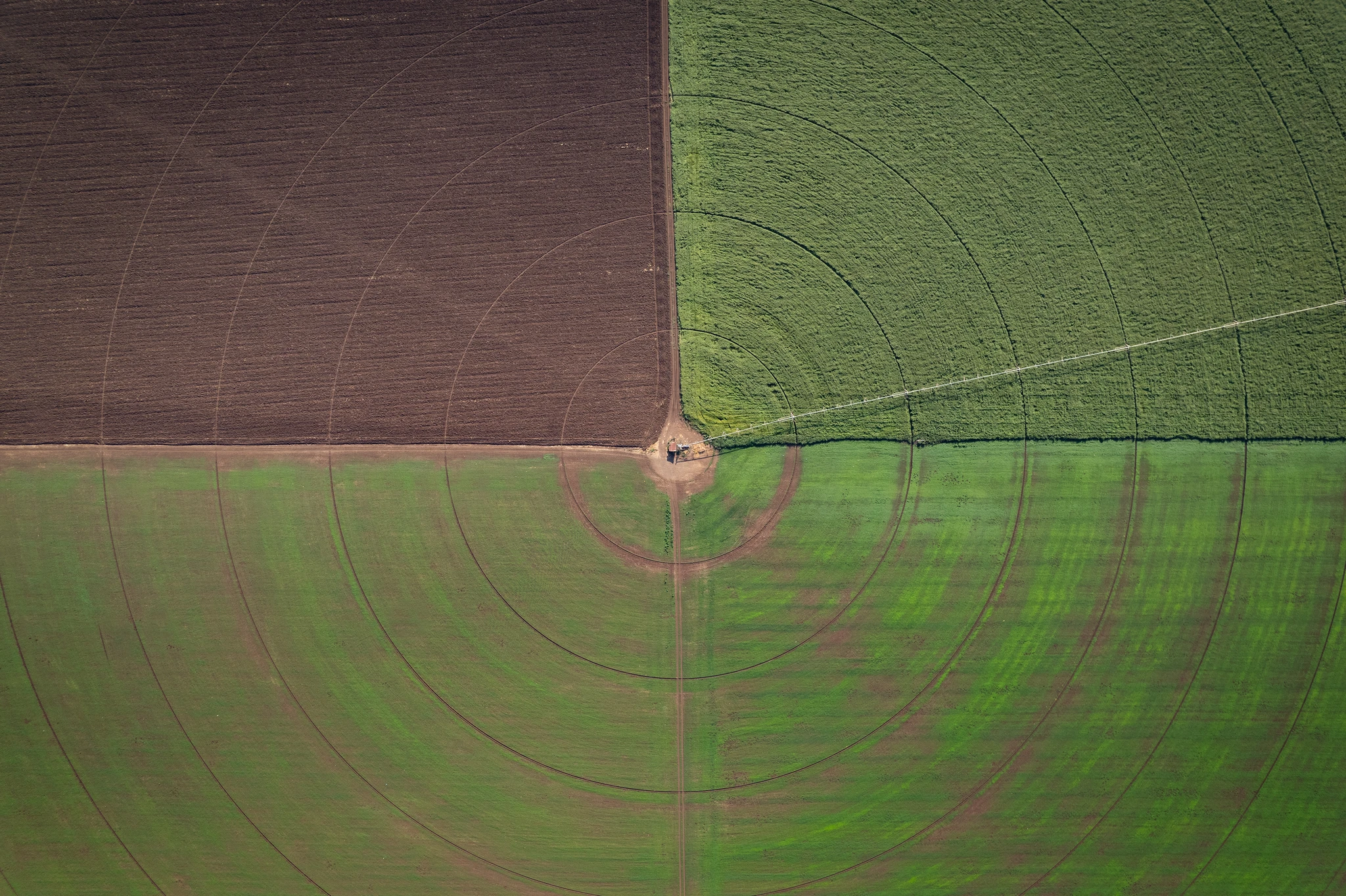 Aerial view of green and brown fields with circular tractor tracks