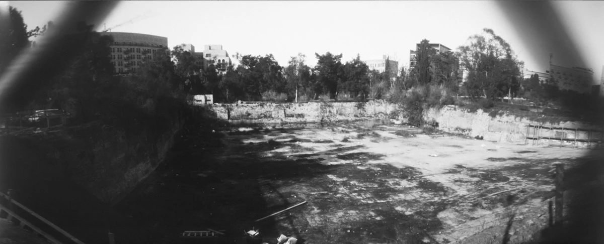 A soft black-and-white view of trees and open ground